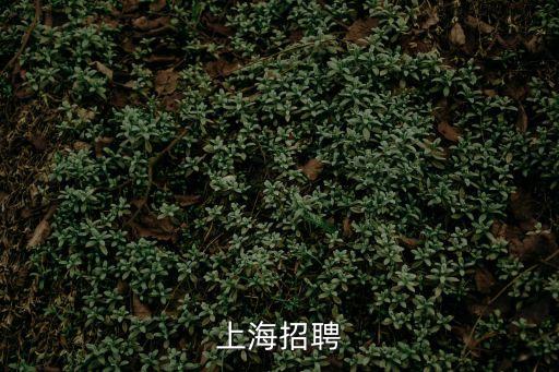 上海市睿岸貿(mào)易有限公司招聘，最近有沒有上海來招聘呢謝謝