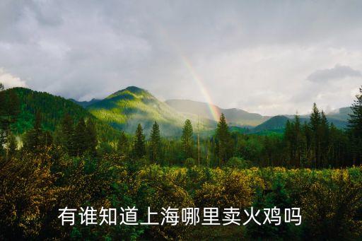 上海市哪里有賣燒雞的，上海哪里有買火雞 能不能詳細點的 什么店有