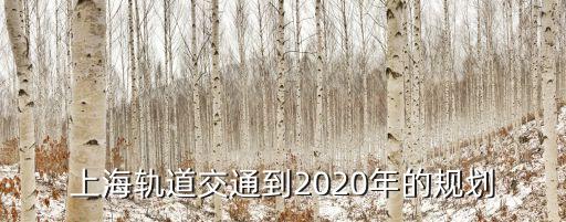上海軌道交通到2020年的規(guī)劃