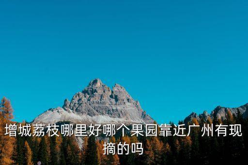 增城荔枝哪里好哪個(gè)果園靠近廣州有現(xiàn)摘的嗎