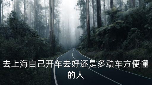 去上海自己開車去好還是多動車方便懂的人