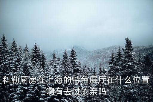 上海市科勒展廳，科勒廚房在上海的特色展廳在什么位置啊有去過的親嗎