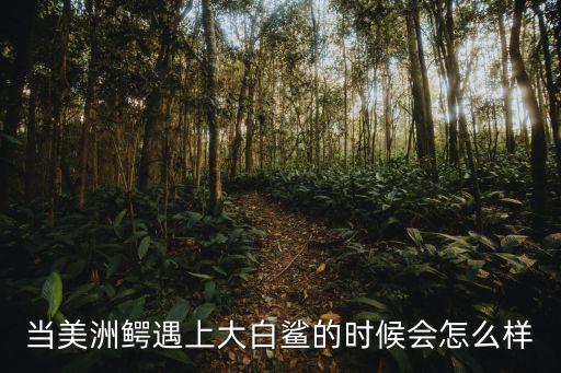美洲鱷，一只成年美洲鱷的重量是多少