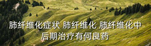 肺纖維化癥狀 肺纖維化 肺纖維化中后期治療有何良藥