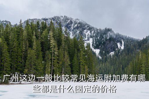 廣州這邊一般比較常見海運附加費有哪些都是什么固定的價格