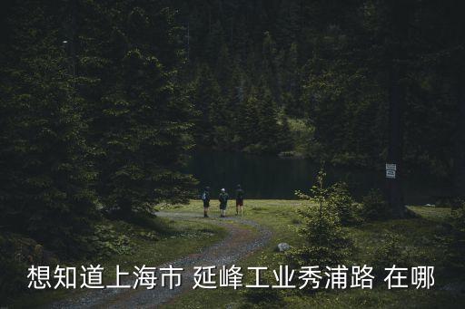 想知道上海市 延峰工業秀浦路 在哪
