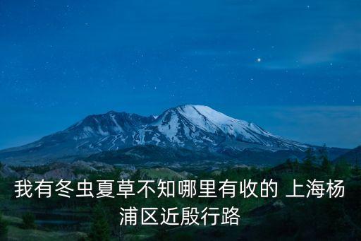 我有冬蟲夏草不知哪里有收的 上海楊浦區(qū)近殷行路