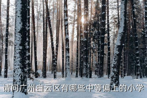 請問廣州白云區(qū)有哪些中等偏上的小學(xué)