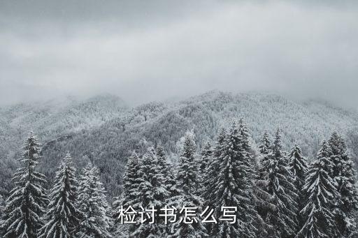 書面檢討，檢討書保證書