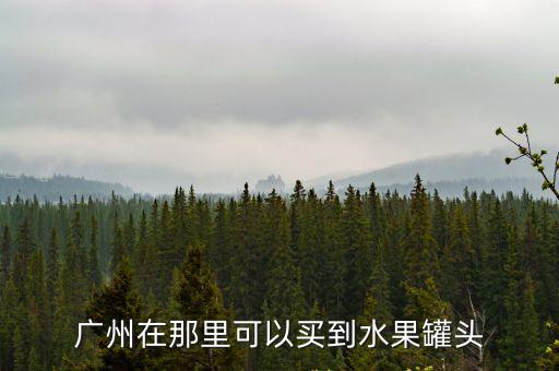 廣州在那里可以買(mǎi)到水果罐頭