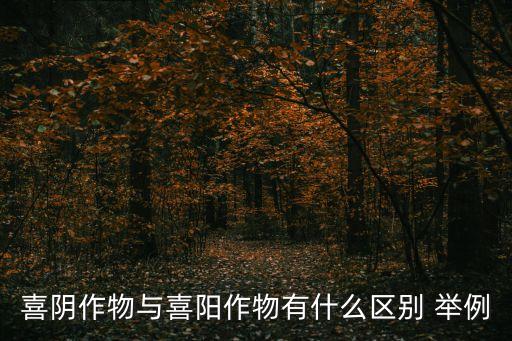 陽性植物，陽性植物和陰性植物在園林上的用途