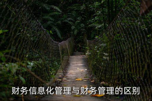 財務信息化管理與財務管理的區別