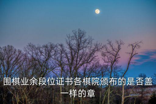 圍棋業余段位證書各棋院頒布的是否蓋一樣的章