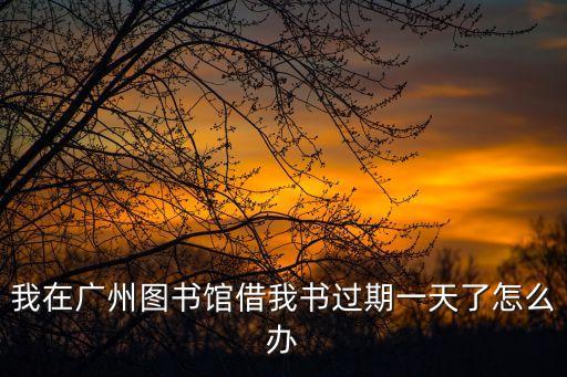 我在廣州圖書館借我書過期一天了怎么辦