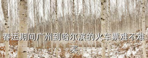 春運期間廣州到哈爾濱的火車票難不難買
