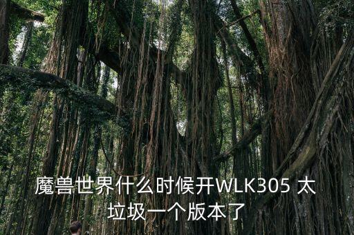 魔獸世界什么時(shí)候開WLK305 太垃圾一個(gè)版本了
