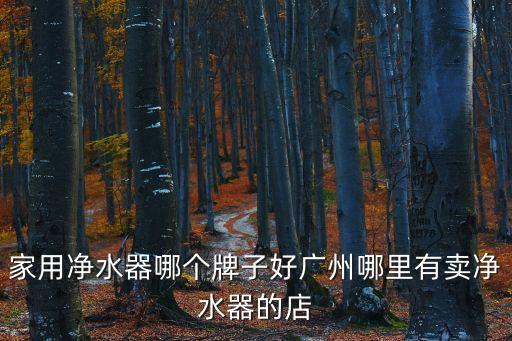 家用凈水器哪個牌子好廣州哪里有賣凈水器的店