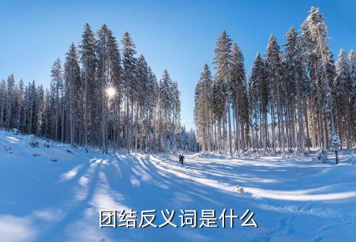 團(tuán)結(jié)的反義詞，團(tuán)結(jié)的反義詞是什么
