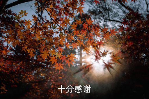 十分感謝