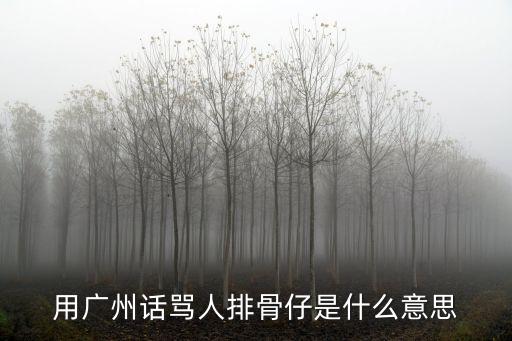 用廣州話罵人排骨仔是什么意思