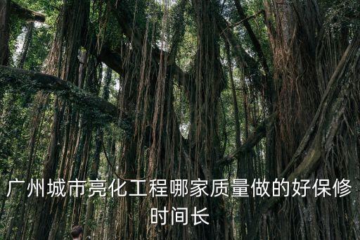 廣州城市亮化工程哪家質量做的好保修時間長