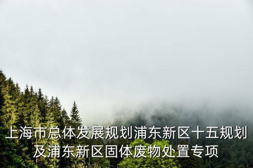 上海市固體廢物處置中心項目，上海市固體廢料處理中心有什么污染