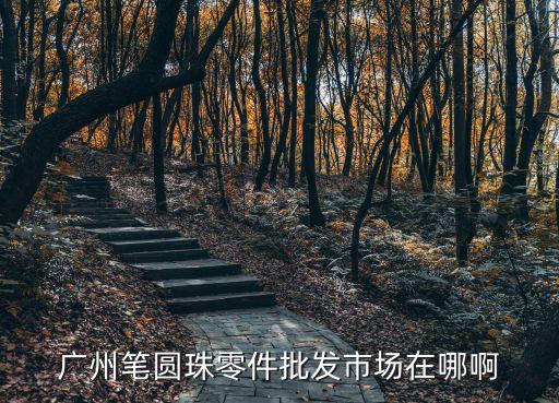 廣州筆圓珠零件批發市場在哪啊
