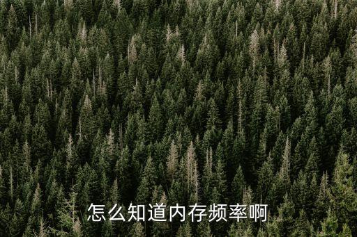 內(nèi)存條頻率怎么看，內(nèi)存頻率怎么看的