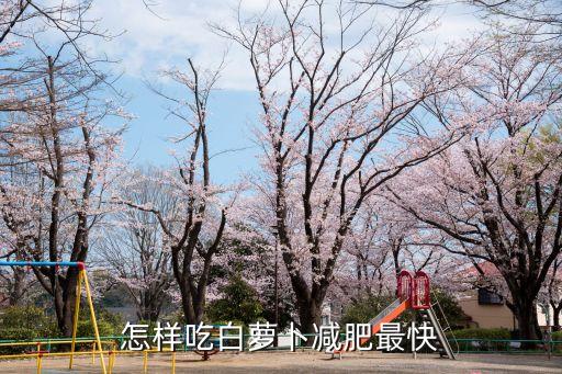 怎樣吃白蘿卜減肥最快