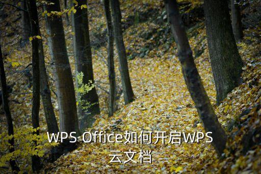 wps云，wps文字怎樣打開云文檔