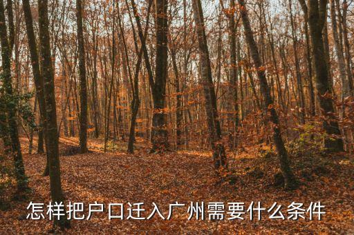 怎樣把戶(hù)口遷入廣州需要什么條件