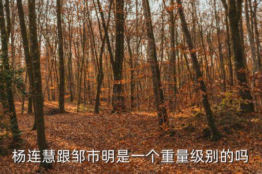 楊連慧跟鄒市明是一個(gè)重量級(jí)別的嗎