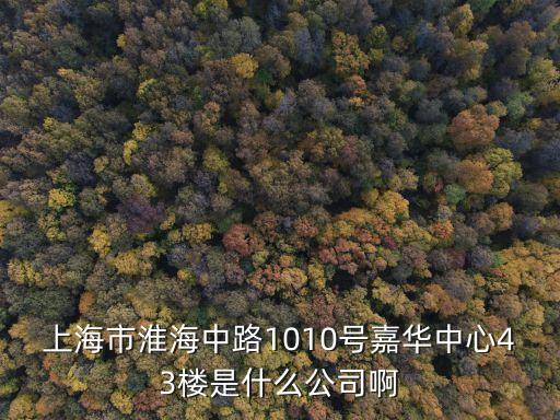 上海市中藍光電科技有限公司，上海市河南南路33號23樓a座是家什么公司