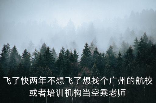 飛了快兩年不想飛了想找個廣州的航校或者培訓機構當空乘老師