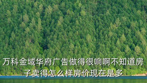 萬科金域華府廣告做得很響啊不知道房子賣得怎么樣房價現在是多