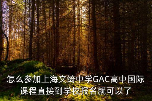 上海市文來中學高中部入學考試，進文來中學分數底線是多少