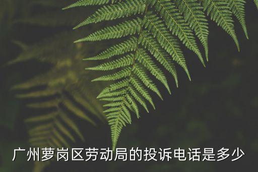 廣州蘿崗區(qū)勞動局的投訴電話是多少