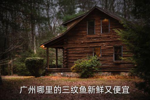 廣州魚哪里進貨最便宜，廣州那里的魚便宜