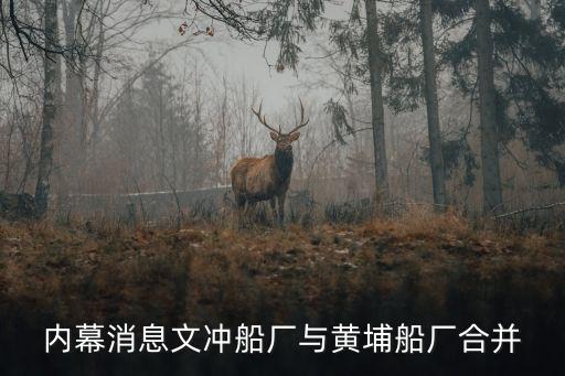 內幕消息文沖船廠與黃埔船廠合并