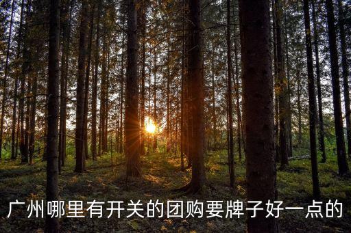 廣州哪里有開關的團購要牌子好一點的