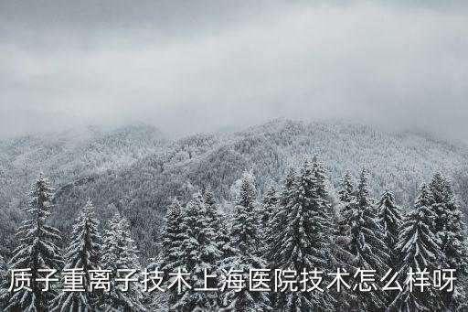 上海市質子重離子醫院 最先進，上海市質子重離子醫院的介紹
