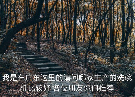 我是在廣東這里的請(qǐng)問(wèn)哪家生產(chǎn)的洗碗機(jī)比較好 各位朋友你們推薦