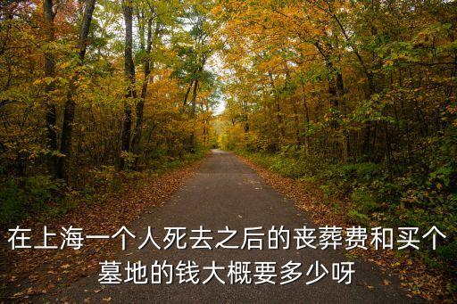 在上海一個人死去之后的喪葬費和買個墓地的錢大概要多少呀