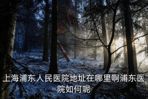 上海浦東人民醫院地址在哪里啊浦東醫院如何呢