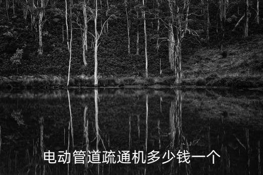 電動(dòng)管道疏通機(jī)多少錢一個(gè)