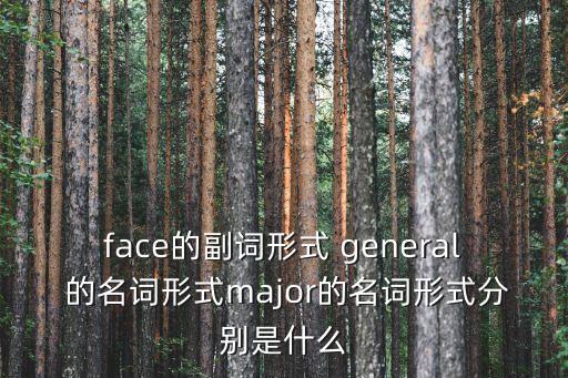 major的名詞，major和mainly的區(qū)別是什么