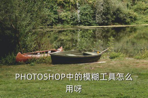ps模糊工具，ps里的模糊工具在哪里