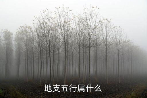 地支五行屬性，地支五行屬什么