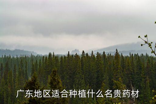 藿香適合在廣州這邊種嗎，廣東地區(qū)適合種植什么名貴藥材