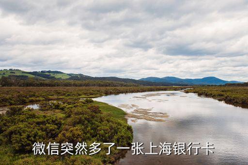 上海市山水比德，趙栩潼是誰